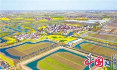 基本农田禁挖蟹塘 螃蟹产业如何发展？——看合陈镇兴村富民新探索