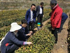 青岛市农业农村局构筑青年人才成长平台