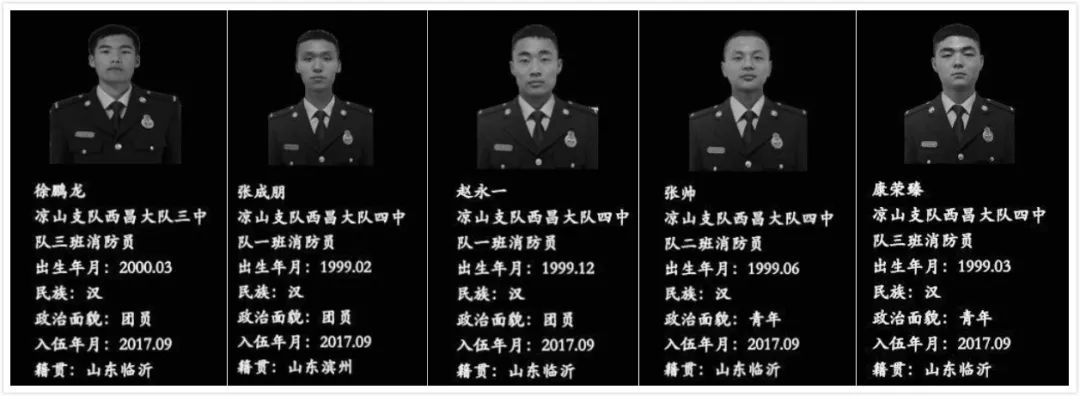 山东青年，真行！