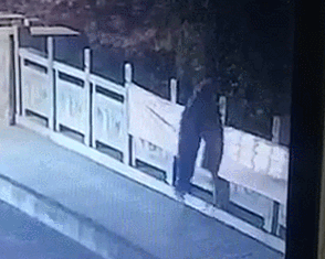 山东青年，真行！