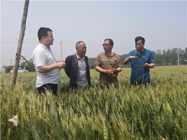 西华：“五一”假期不停歇 全县干部“奔跑”在一线