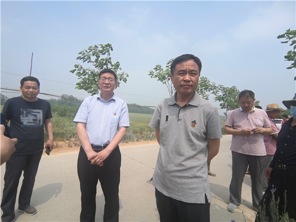 西华：“五一”假期不停歇 全县干部“奔跑”在一线