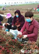 【聚焦精准扶贫】三间房村的三个全覆盖