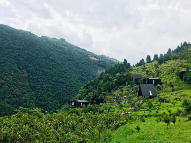 中天金融2019年营收211.98亿元 实业和金融业务齐头并进