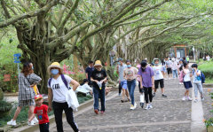 “五一”海口促消费强防控 推动旅游行业复苏