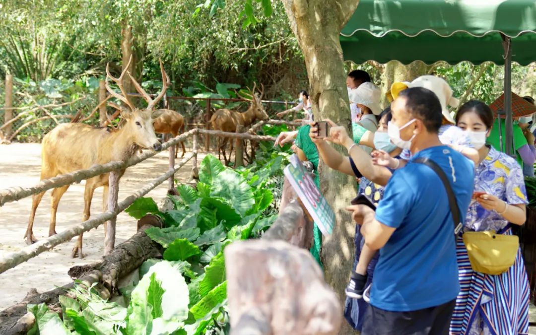 “五一”海口促消费强防控 推动旅游行业复苏