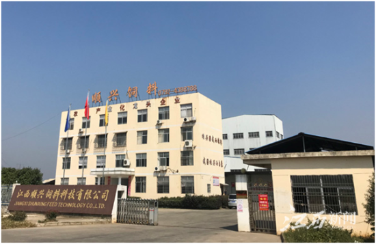 江西顺兴饲料科技有限公司厂区(江西顺兴饲料供图)