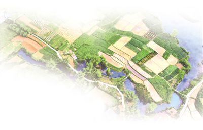 产业致富忙 法治添保障（法治头条·法治保障脱贫攻坚②）