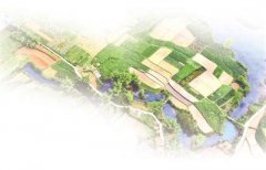 产业致富忙 法治添保障（法治头条·法治保障脱贫攻坚②）