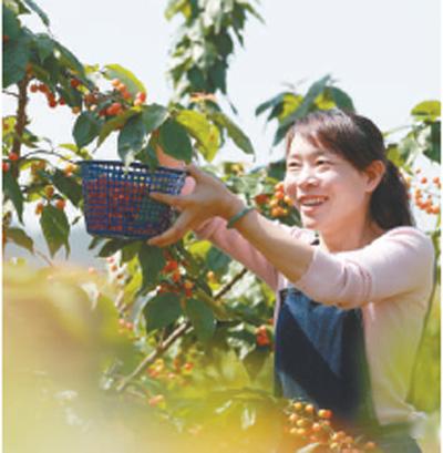 产业致富忙 法治添保障（法治头条·法治保障脱贫攻坚②）