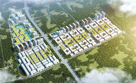 开平15个重点工业项目今日集中动工(投产)投资