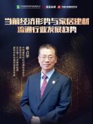 秦占学会长在线分享当前经济形势与家居建材流通行业发展