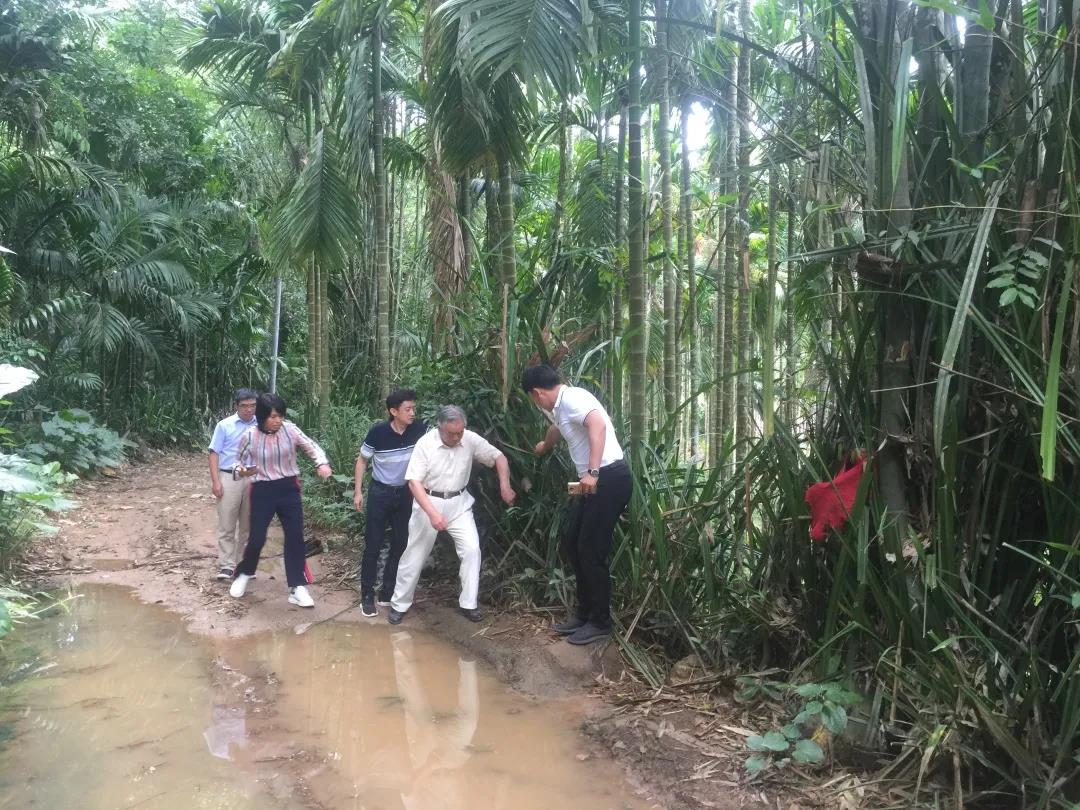 中央第三生态环境保护督察组向海南省反馈督察