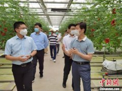 在川台湾农业人：为发展现代农业出谋划策 投资四川信心不减