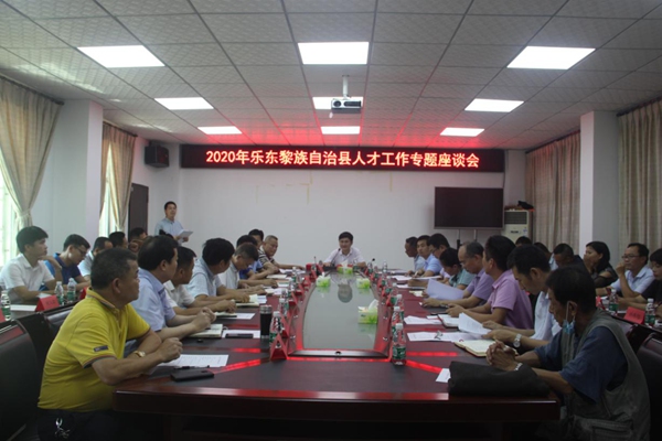 乐东县召开2020年人才工作专题座谈会