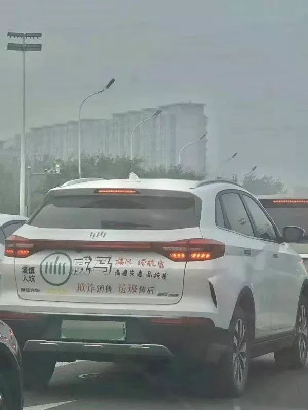 威马汽车造最大的声势，卖最少的销量