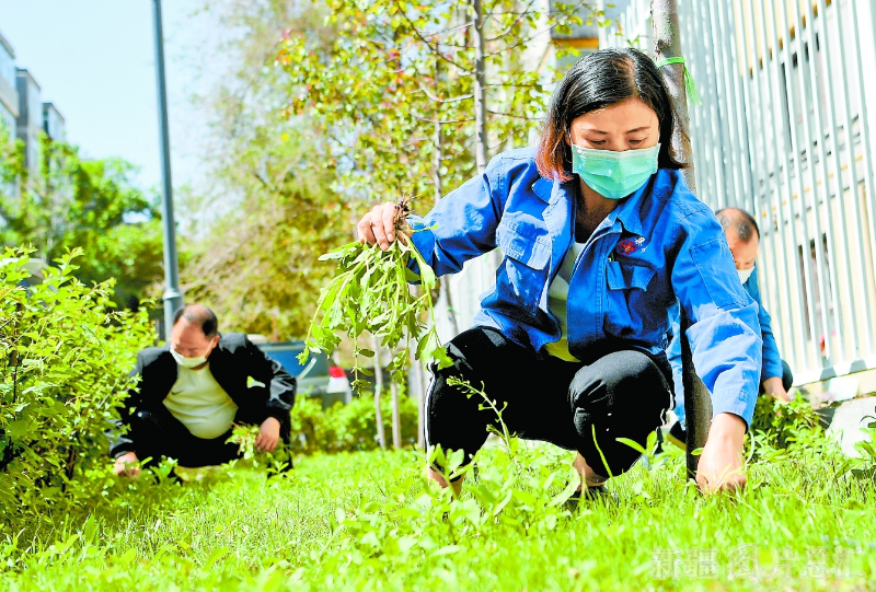 【聚焦乌市老旧小区改造④】有了“新管家” 老