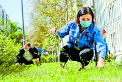 【聚焦乌市老旧小区改造④】有了“新管家” 老