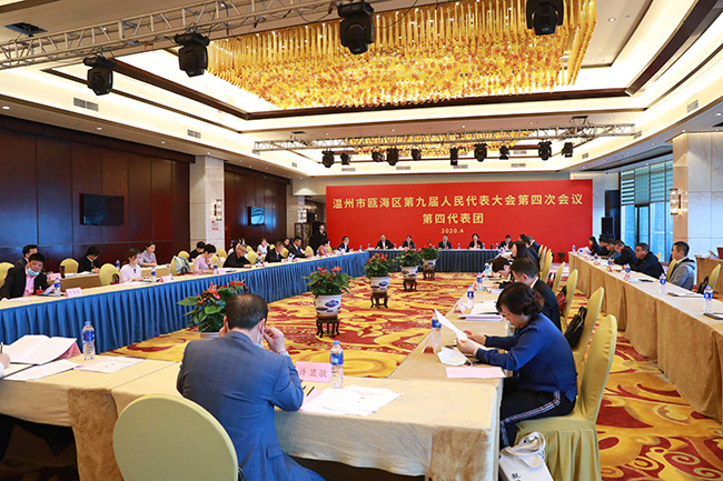 瓯海区委书记王振勇参加人大政协分组审议讨论