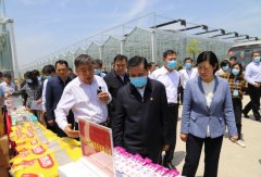 郸城代表风采——赵天学：把红薯做成大产业