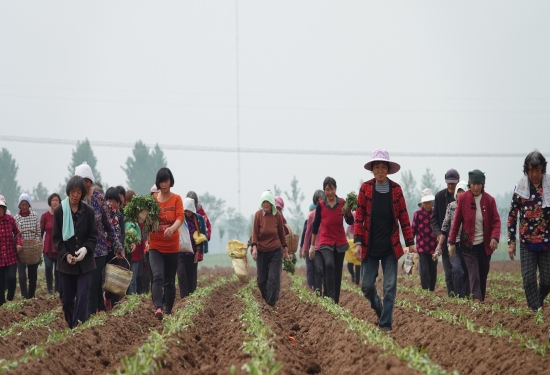 郸城代表风采——赵天学：把红薯做成大产业