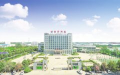 金丹科技：引领乳酸行业新发展，打造世界级民族品牌