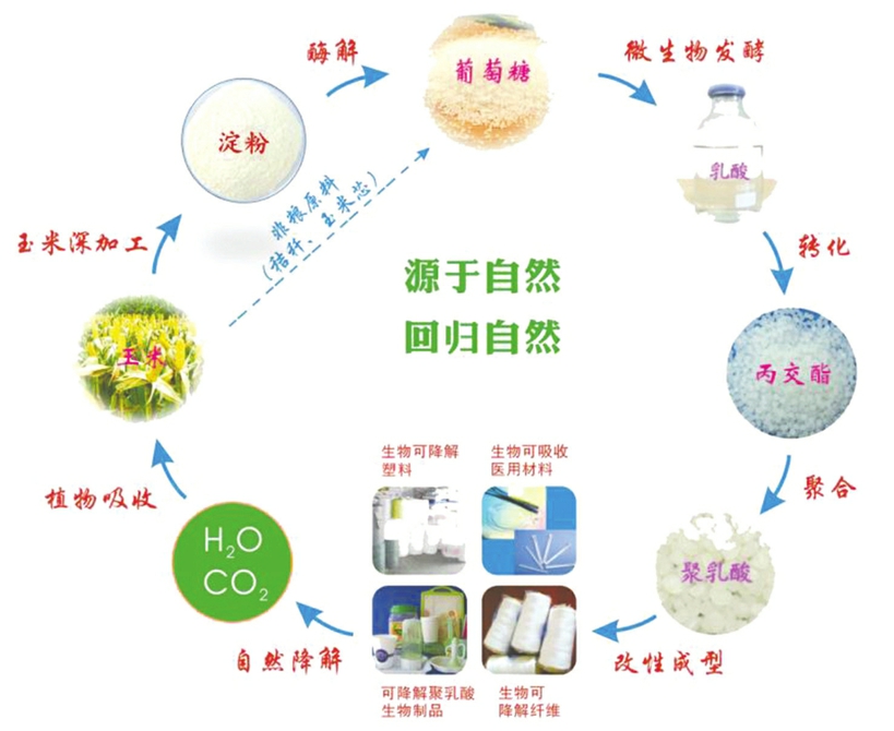 金丹科技：引领乳酸行业新发展，打造世界级民族品牌