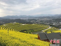 <b>这个曾被预言在疫情中倒下的行业，起死回生了</b>