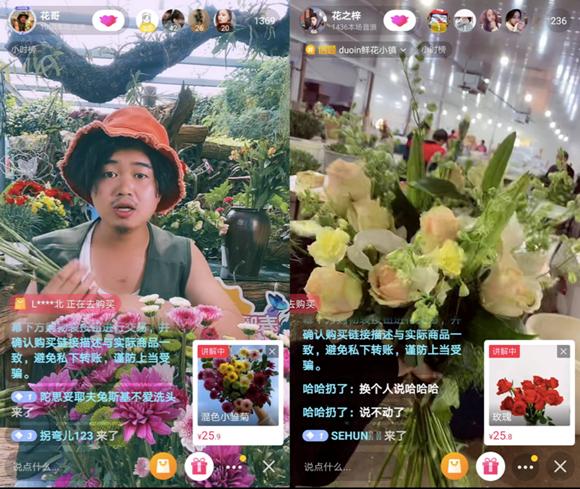 图片0