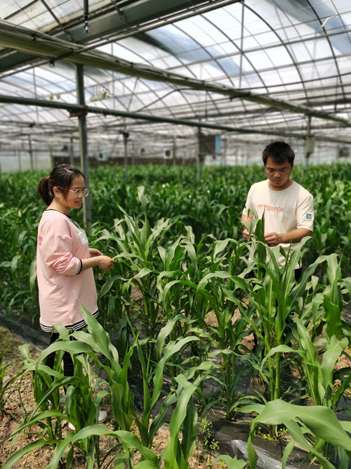 “后浪”里的农业“新青年”