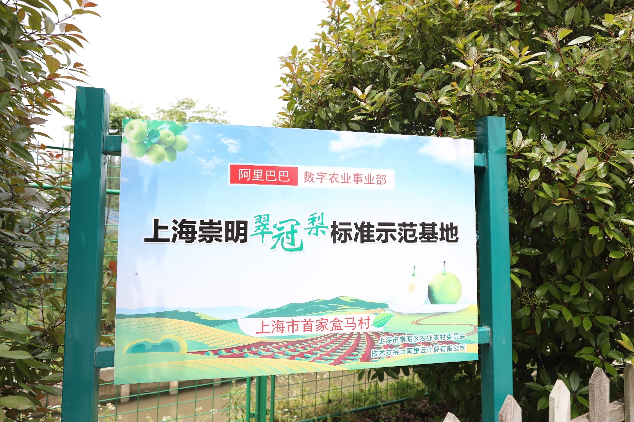 上海首个盒马村亮相：走几步就能见到高科技