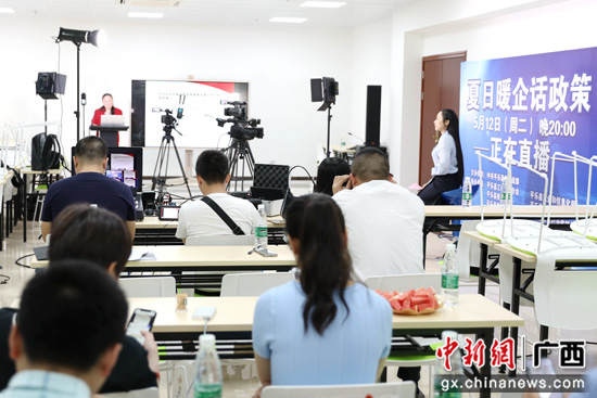 广西平乐县：“暖企话政策”直播促发展