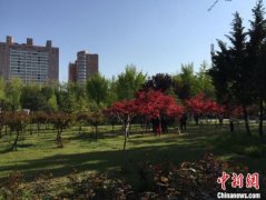 河北深化工业企业污染治理 保障空气质量持续改