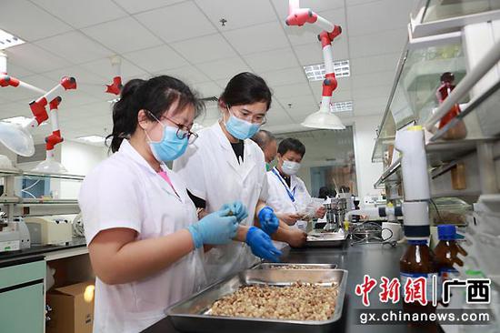图为广西食品药品检验所检验员对进口中药材进行检验。