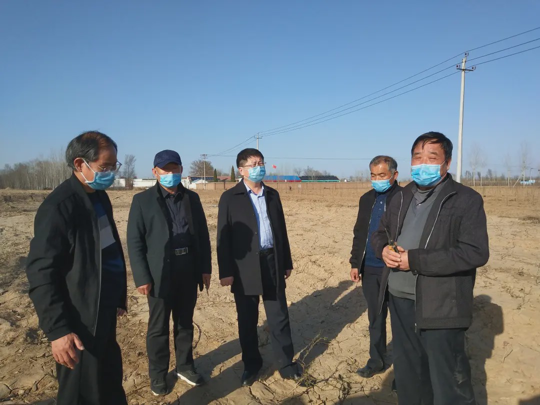 枣强大营镇开展中药材技术培训 推进产业精准扶贫