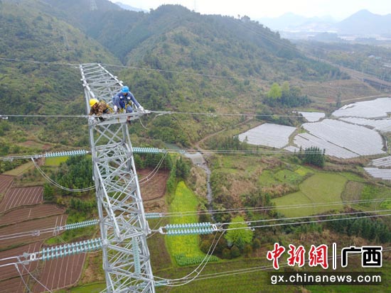 桂林供电局工作人员正在架设220千伏桂渡Ⅰ线 莫希涛  摄