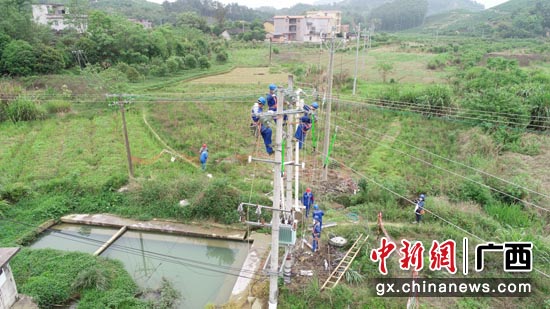 荔浦市修仁镇农网改造项目工程现场紧张施工作业。 李德龙 摄
