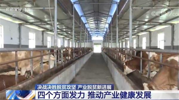 国务院扶贫办:四个方面发力 推动产业健康发展