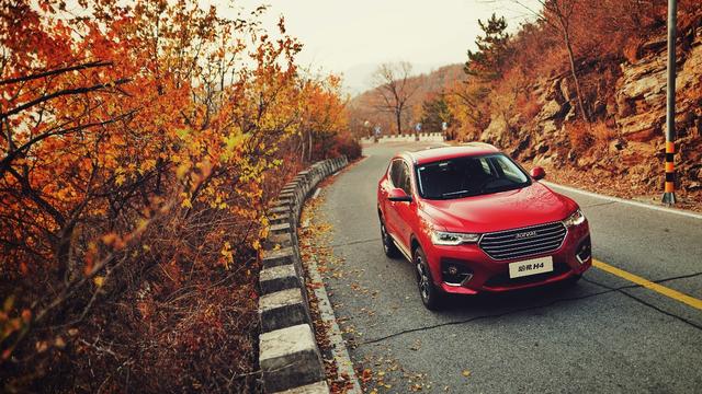 141643169de2031f109359.jpg 6.jpg