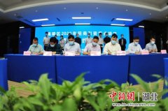 湖北夷陵：产业链招商签约35个项目 总投资183亿元