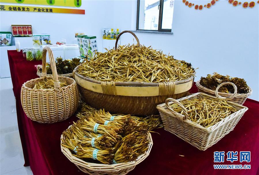 (新华全媒头条·图文互动)(3)初夏,循着总书记的脚步探访产业扶贫新事