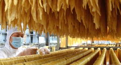 二安镇建设产业强镇纪实 “腐竹之乡”豆香四溢