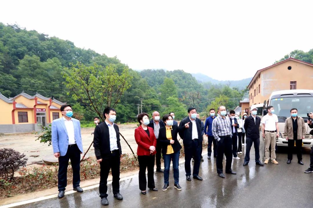 湖北省文旅厅长雷文洁来武当山调研旅游产业发展情况