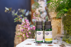 从网红到行业代表，为什么阿芙精油做成了？