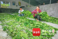 点赞！海南表彰一批脱贫攻坚先进个人｜附先进