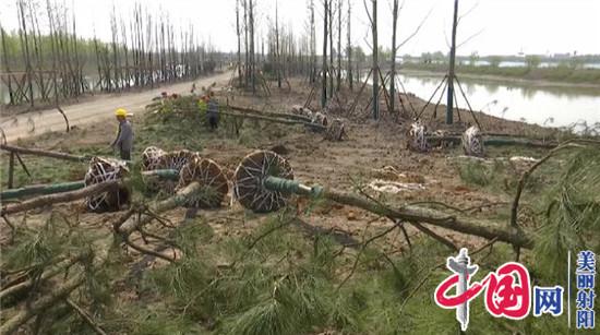 射阳加紧建设旅游项目 做大做强射阳旅游产业