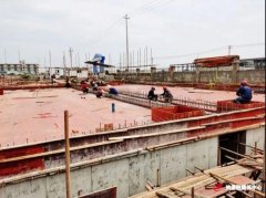 【全力以赴“项”前冲】林产化工行业新添“攸