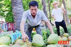 三亚罗蓬村吉文：用英语卖椰子的建档立卡户