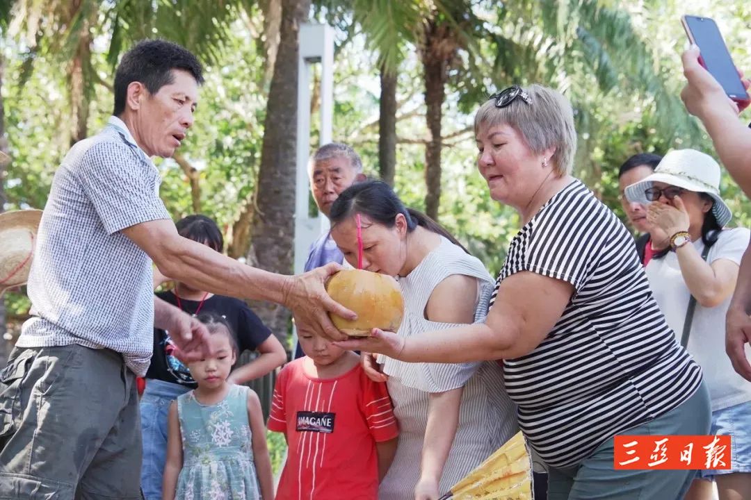 三亚罗蓬村吉文:用英语卖椰子的建档立卡户