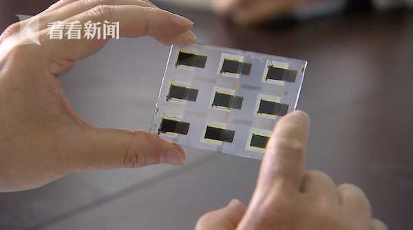 视频｜科技功臣田禾：树报国之志 立一流学科